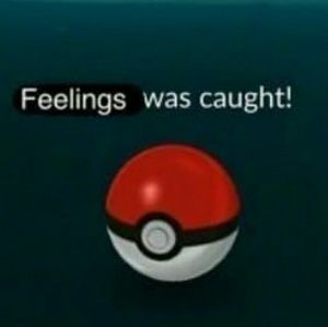 Meet your Posher, Kara